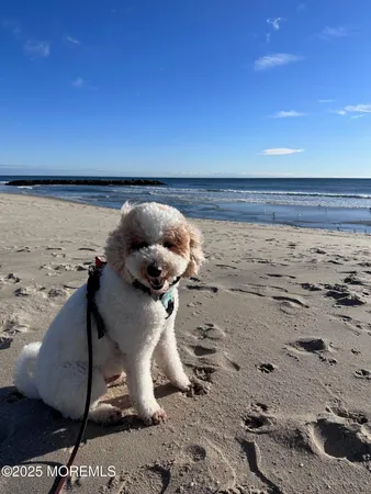 $5,500 | 316 Park Pl Avenue, Bradley Beach, NJ 07720