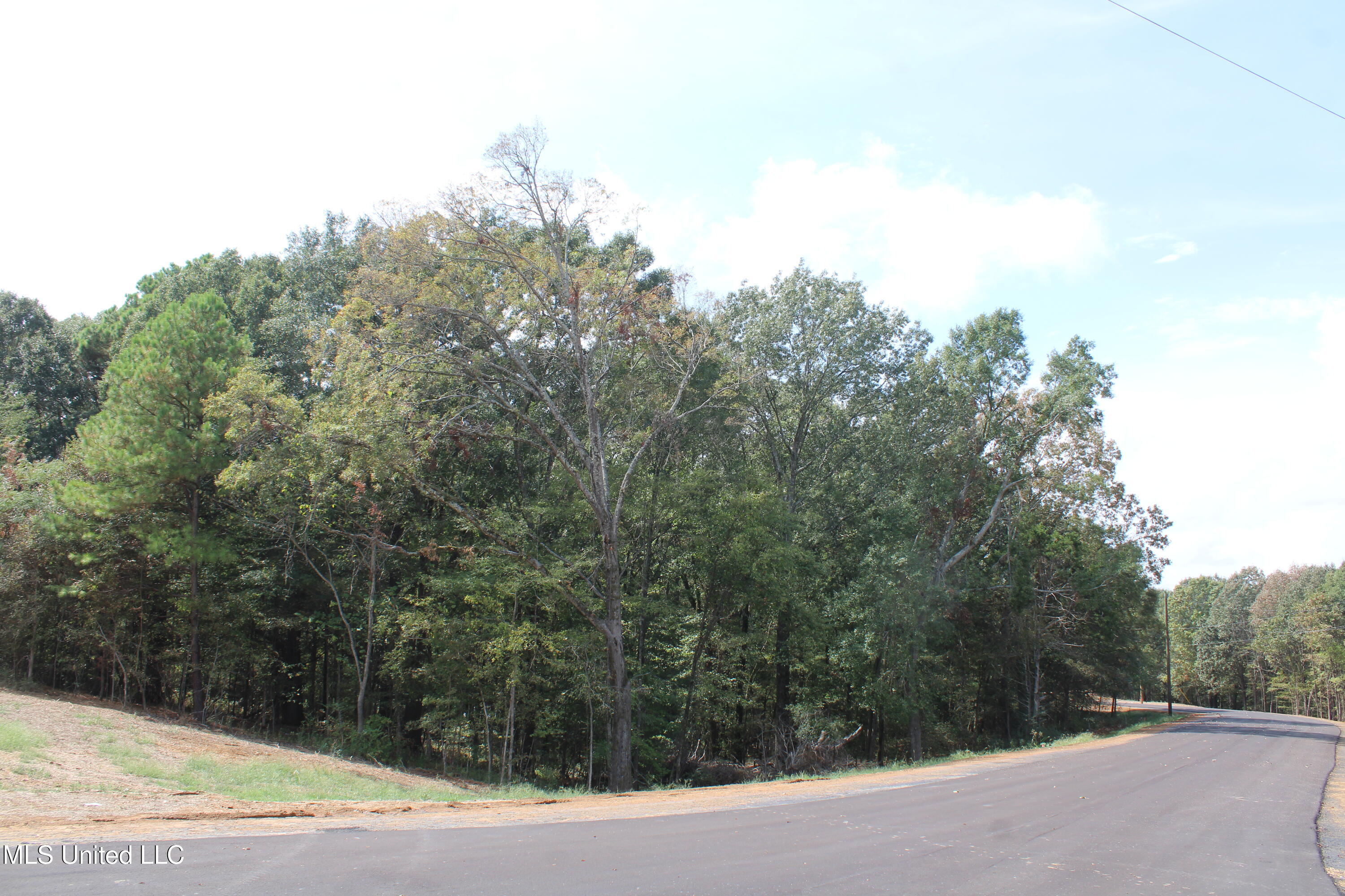 21 Hickory Hollow Road Coldwater, MS 38618 - Photo 2 of 70 IMG_6557