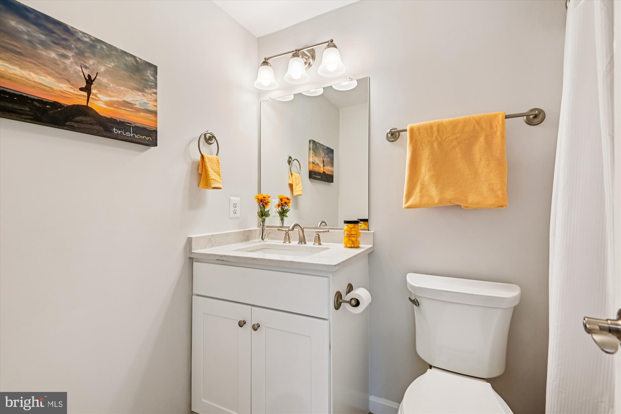 3092 Sussex Place Riva, MD 21140 - Photo 52 of 105 a bathroom with a toilet sink and mirror