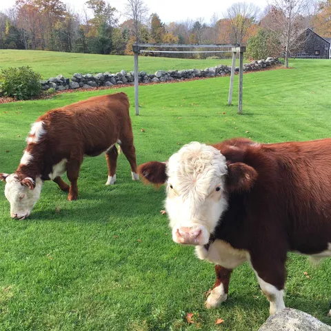 $1,450,000 | 216 North Road, Candia, NH 03034