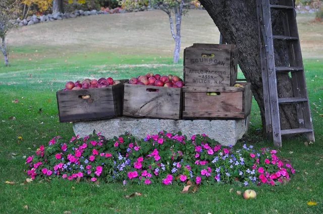 $1,450,000 | 216 North Road, Candia, NH 03034