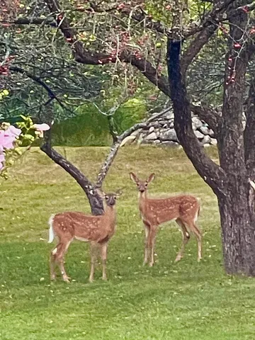 $1,450,000 | 216 North Road, Candia, NH 03034