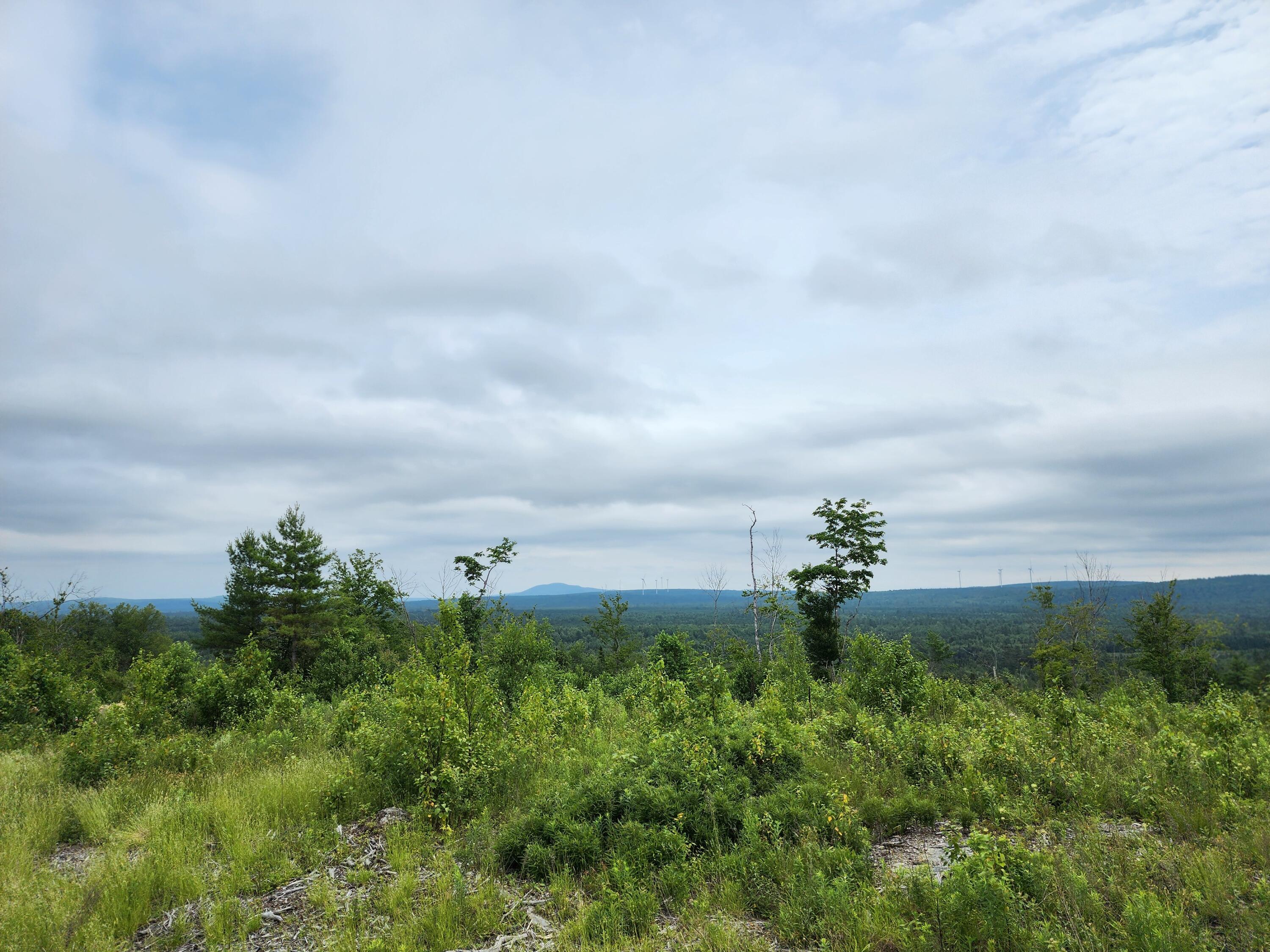 213 Moose Hl Road Ellsworth, ME 04605 - Photo 28 of 34 20250701_115240