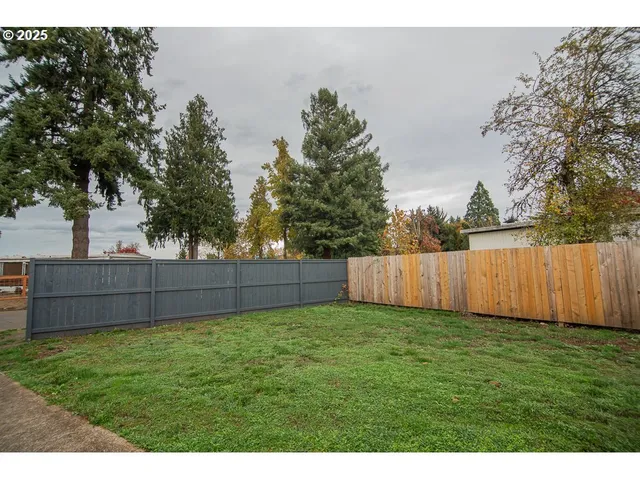 a view of yard with trees in the background