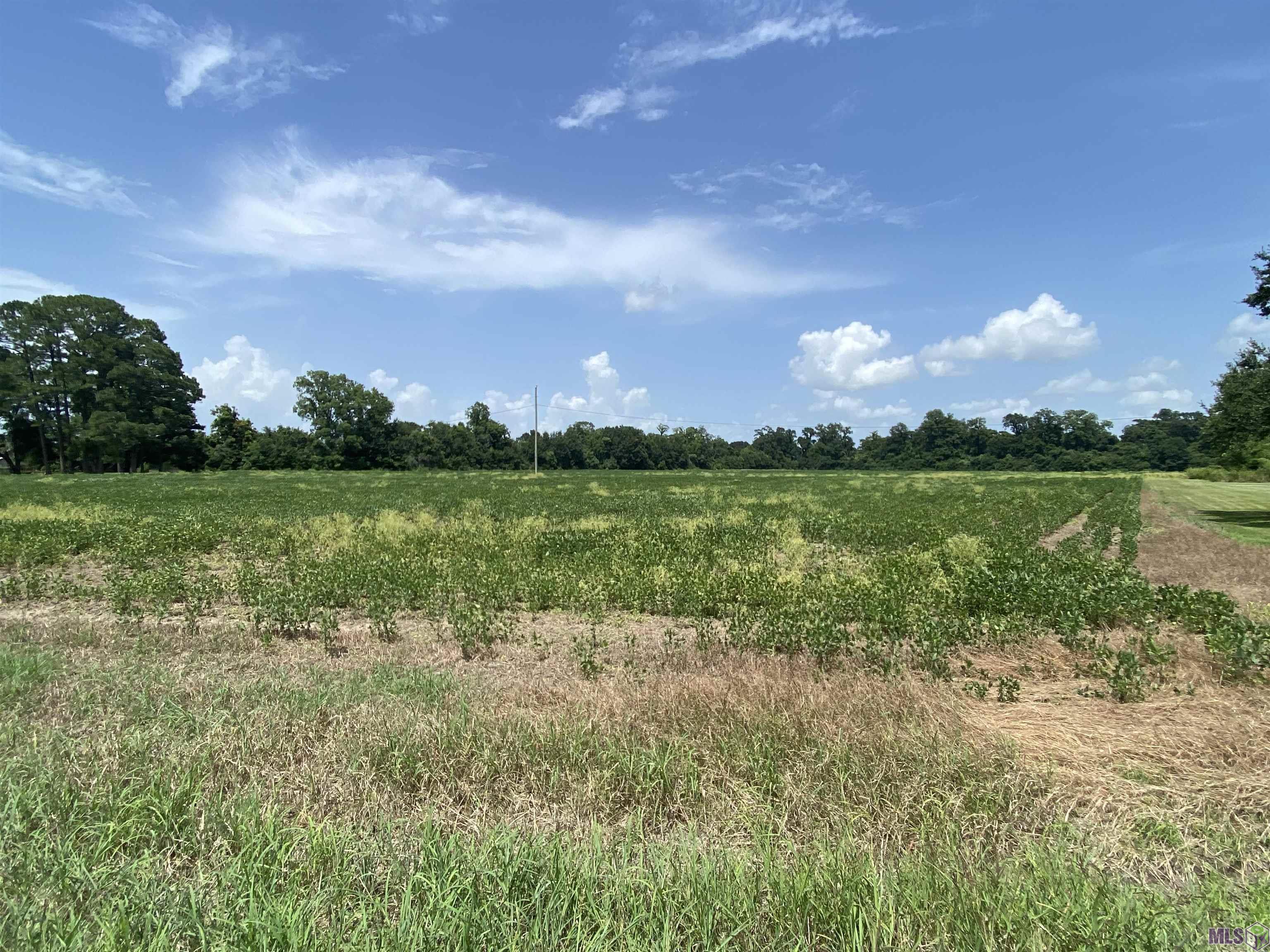 25.8-acres Maringouin Road West Maringouin, LA 70757 - Photo 3 of 4