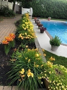 9 Myopia Road Stoneham, MA 02180 - Photo 34 of 39 Gallery Image 34