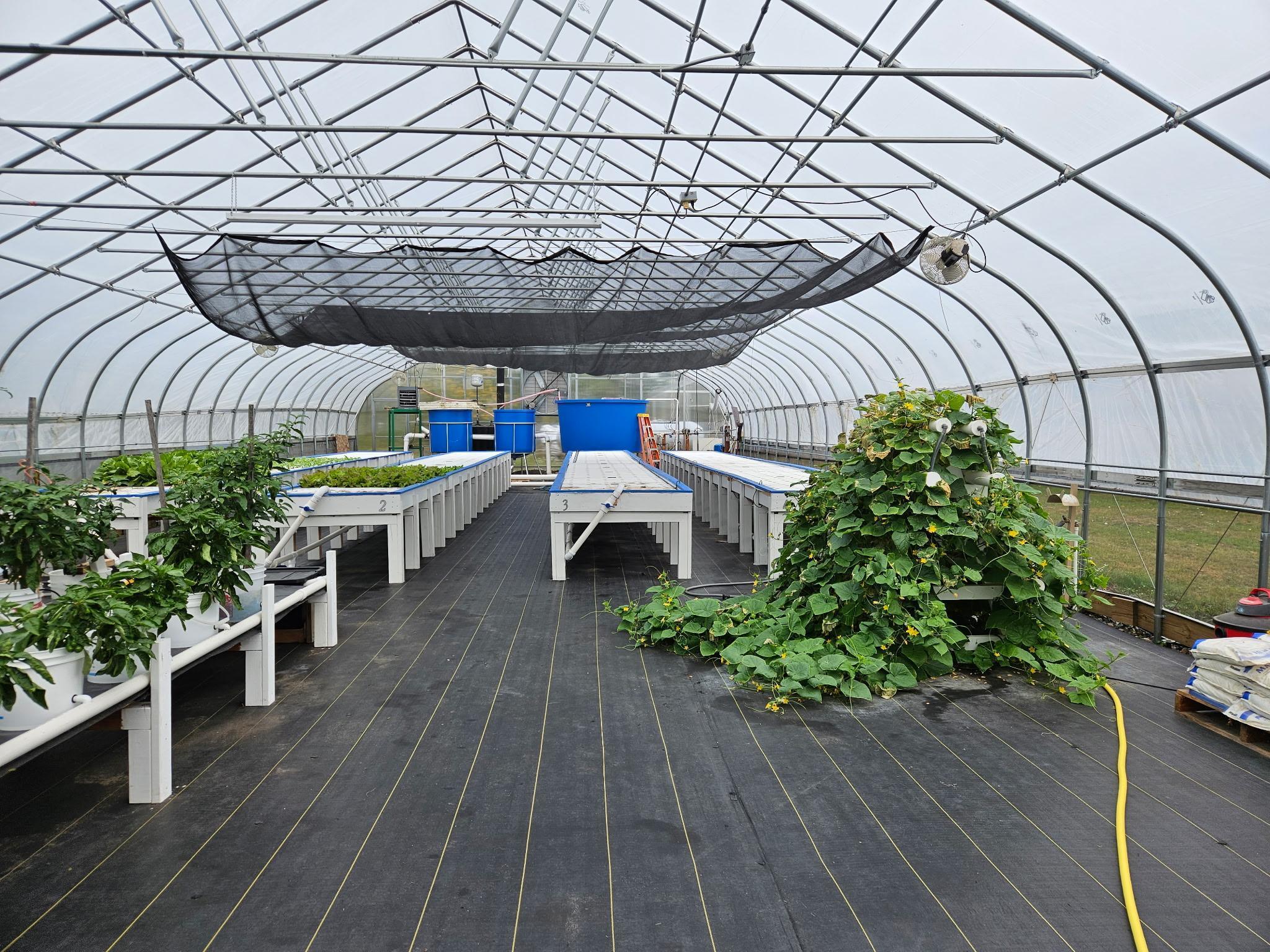 3746 16th Avenue Southwest Pine River, MN 56474 - Photo 26 of 36