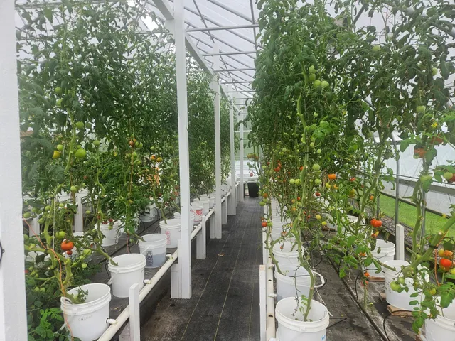 $499,000 | 3746 16th Avenue Southwest, Pine River, MN 56474