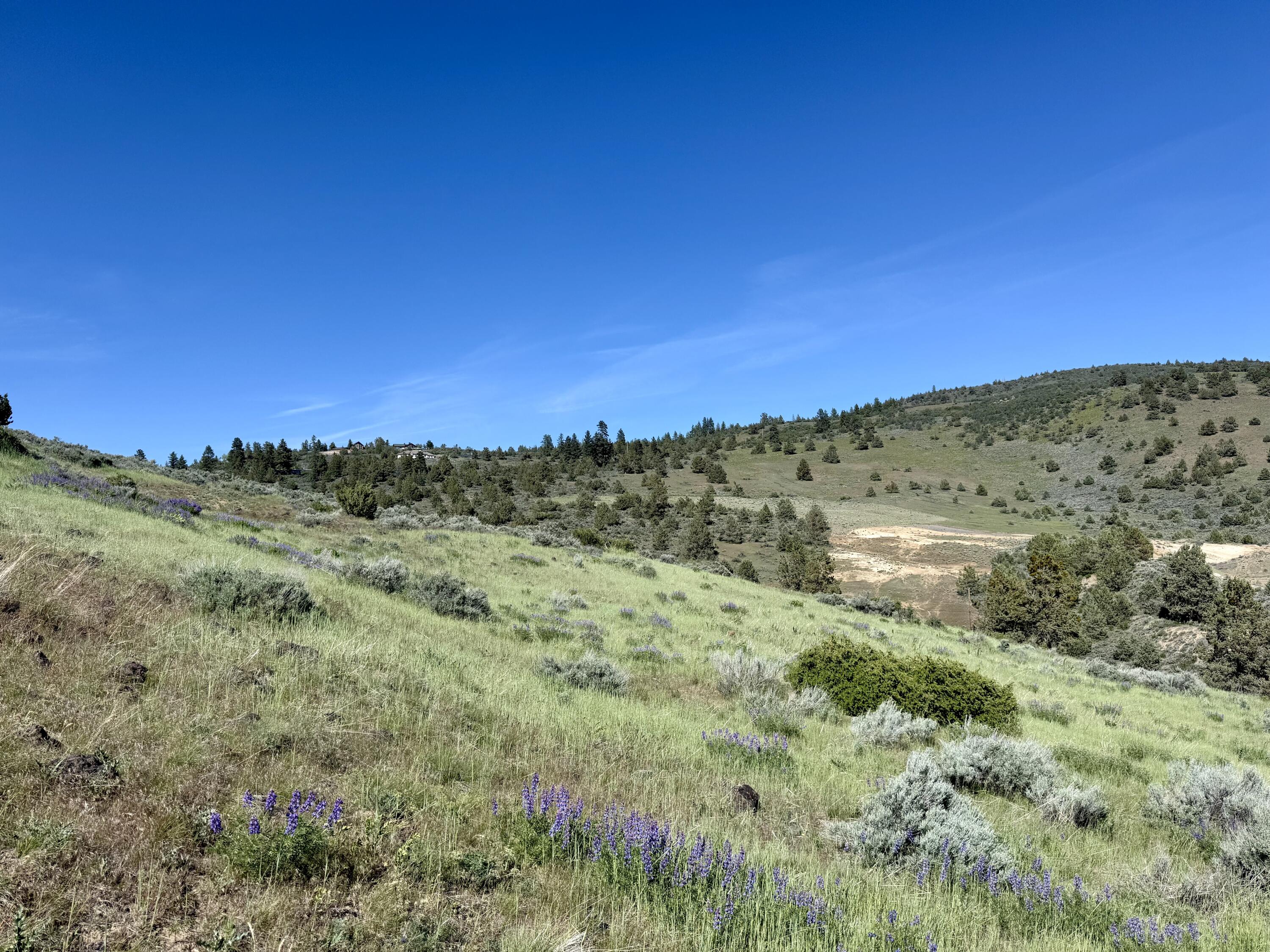 0 Plum Hill Road, Unit LOT 702 Klamath Falls, OR 97601 - Photo 12 of 21