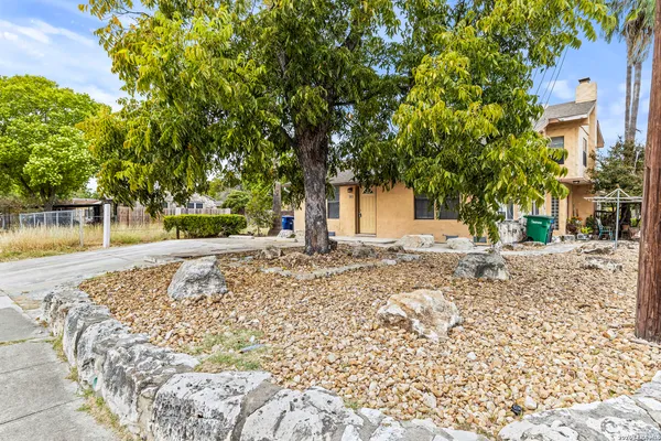 a view of a yard with a tree