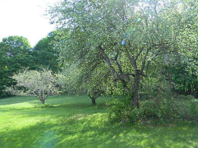46 Fisher Road Bowdoinham, ME 04008 - Photo 19 of 19 Photo