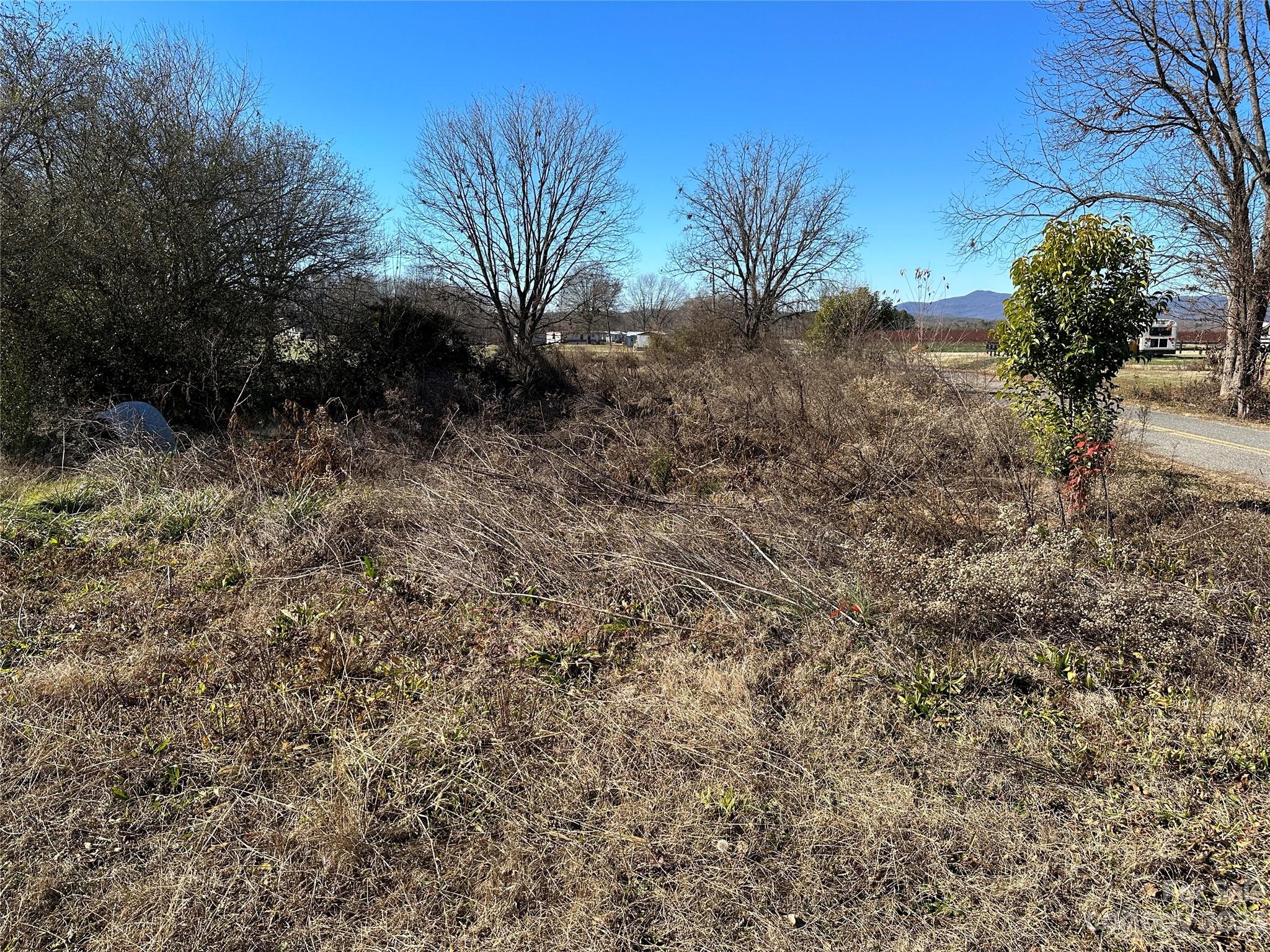 6461 Fallston Road Lawndale, NC 28090 - Photo 17 of 18 a view of a yard with plants and trees