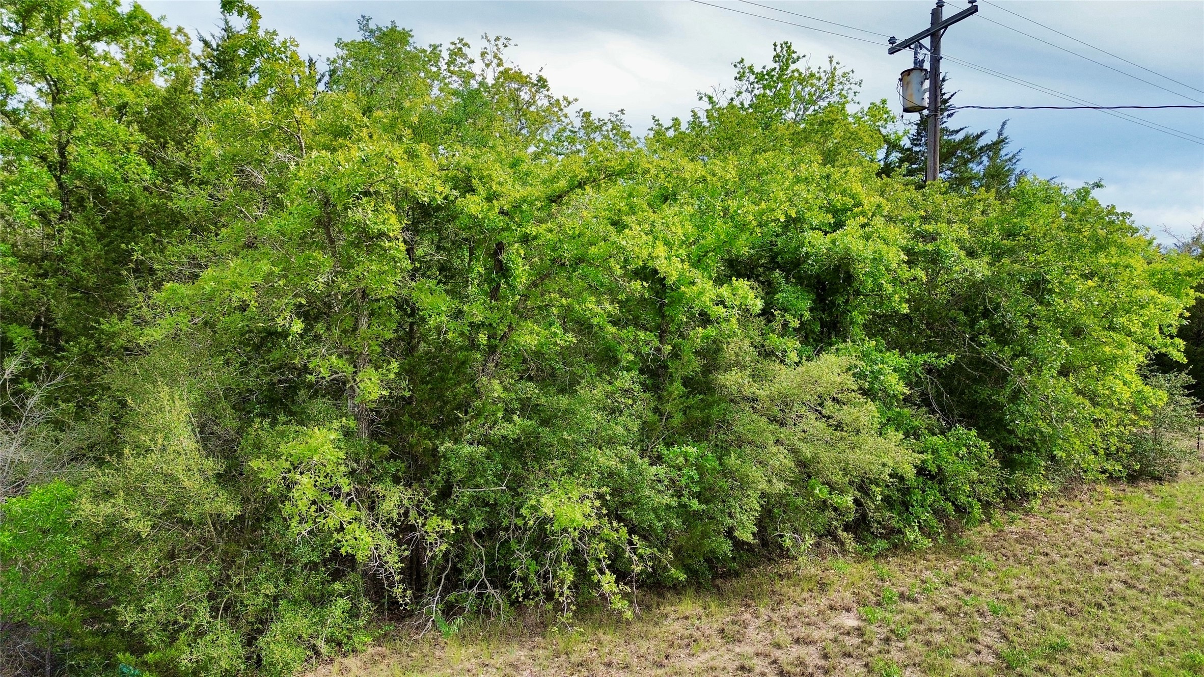 2 Fm 180 Ledbetter, TX 78946 - Photo 6 of 11 a view of a lush green forest with lots of trees