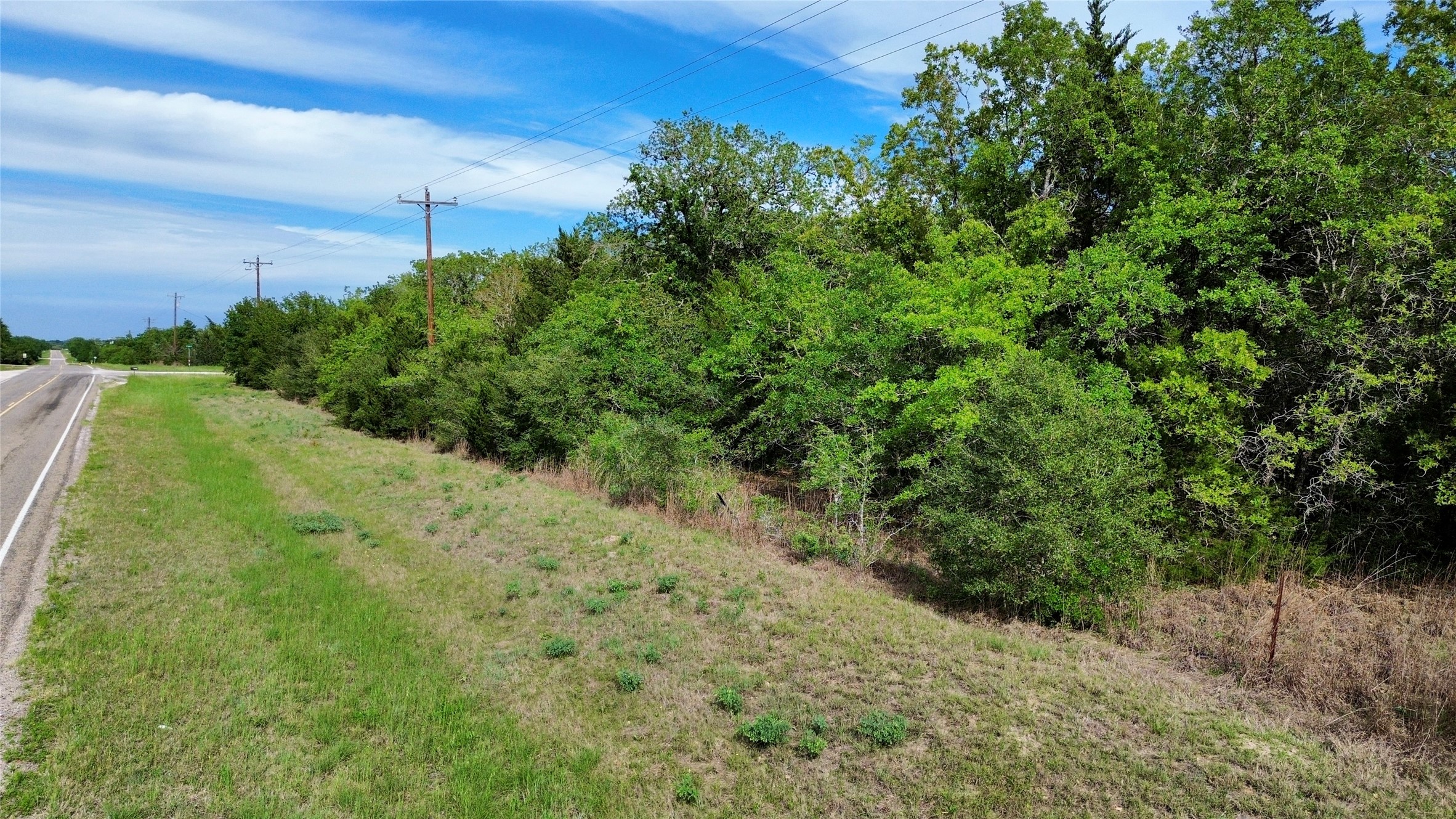 2 Fm 180 Ledbetter, TX 78946 - Photo 7 of 11 a view of a yard with plants and a tree