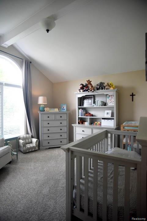 21382 Raintree Drive Macomb, MI 48044 - Photo 24 of 38 RaintreeRanch-24.jpg