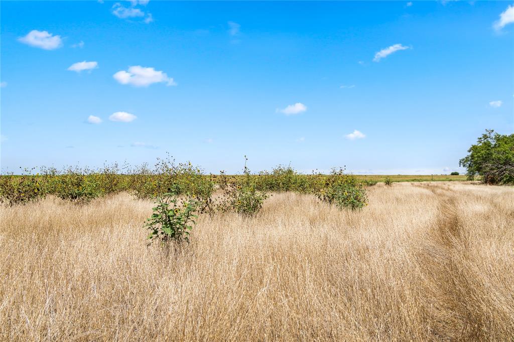 1 Fm 604 Road Clyde, TX 79510 - Photo 12 of 32 Gallery Image 12