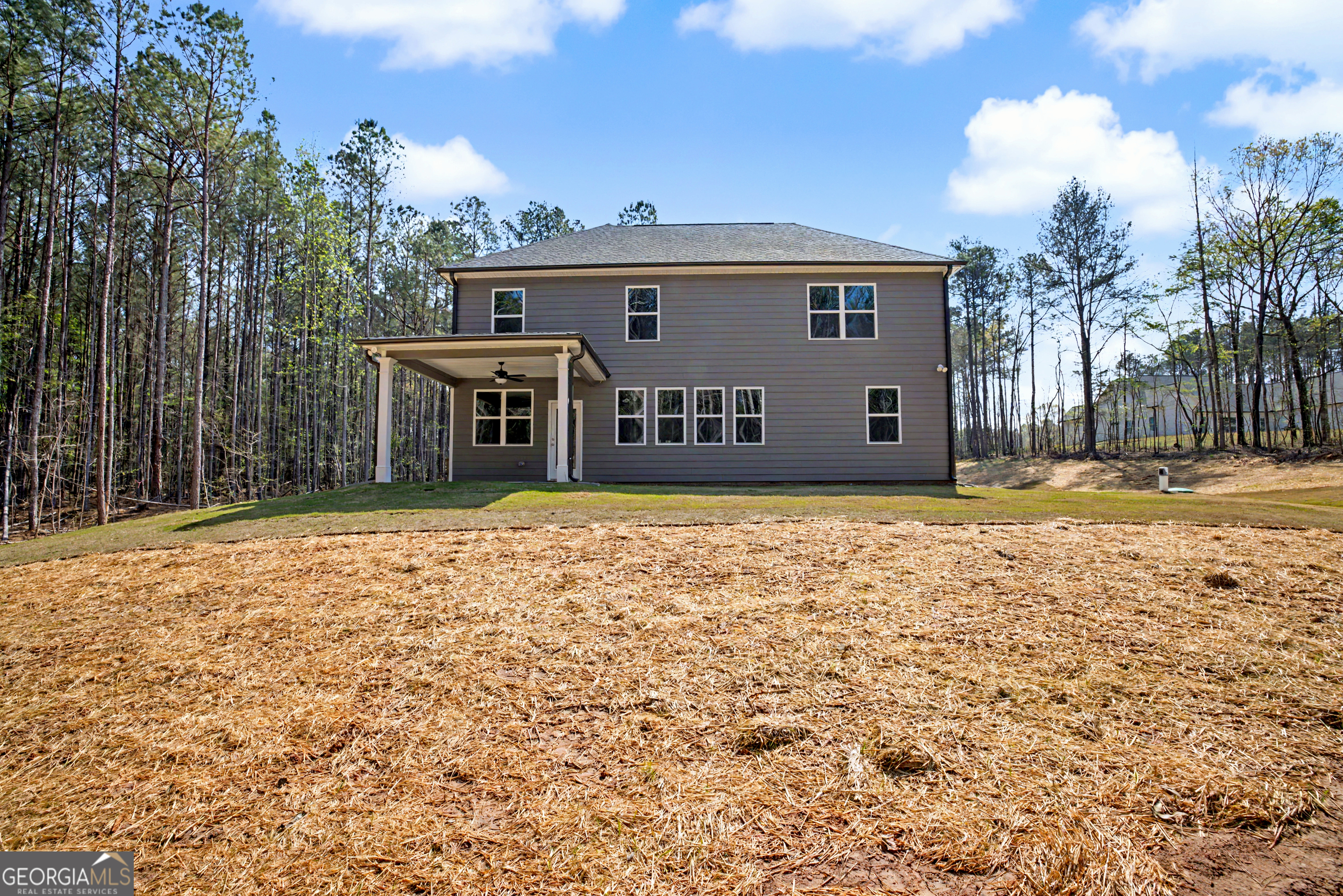 3921 Peeksville Road, Unit (LOT 6) Locust Grove, GA 30248 - Photo 46 of 59 Gallery Image 46