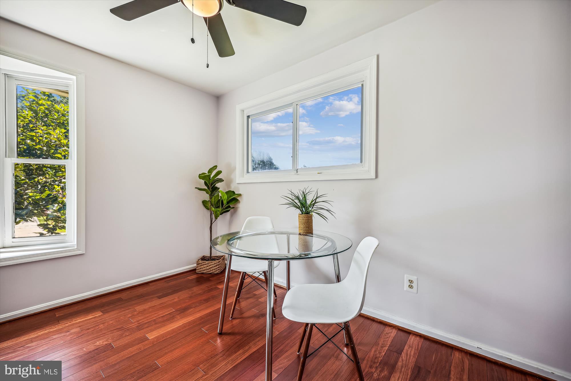 3901 Jeffry Street Silver Spring, MD 20906 - Photo 5 of 30 living room combine dining room