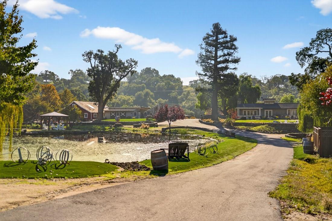 3970 Leavesley Road Gilroy, CA 95020 - Photo 16 of 52 a view of swimming pool with a yard