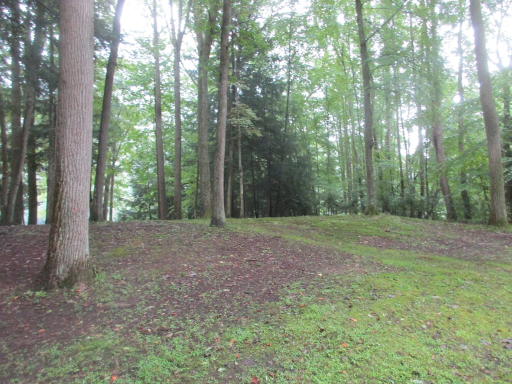 0 Marsh Marigold Road Kennerdell, PA 16374 - Photo 2 of 5