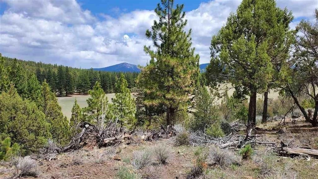Robison Road Macdoel, CA 96058 - Photo 19 of 30 Gallery Image 19
