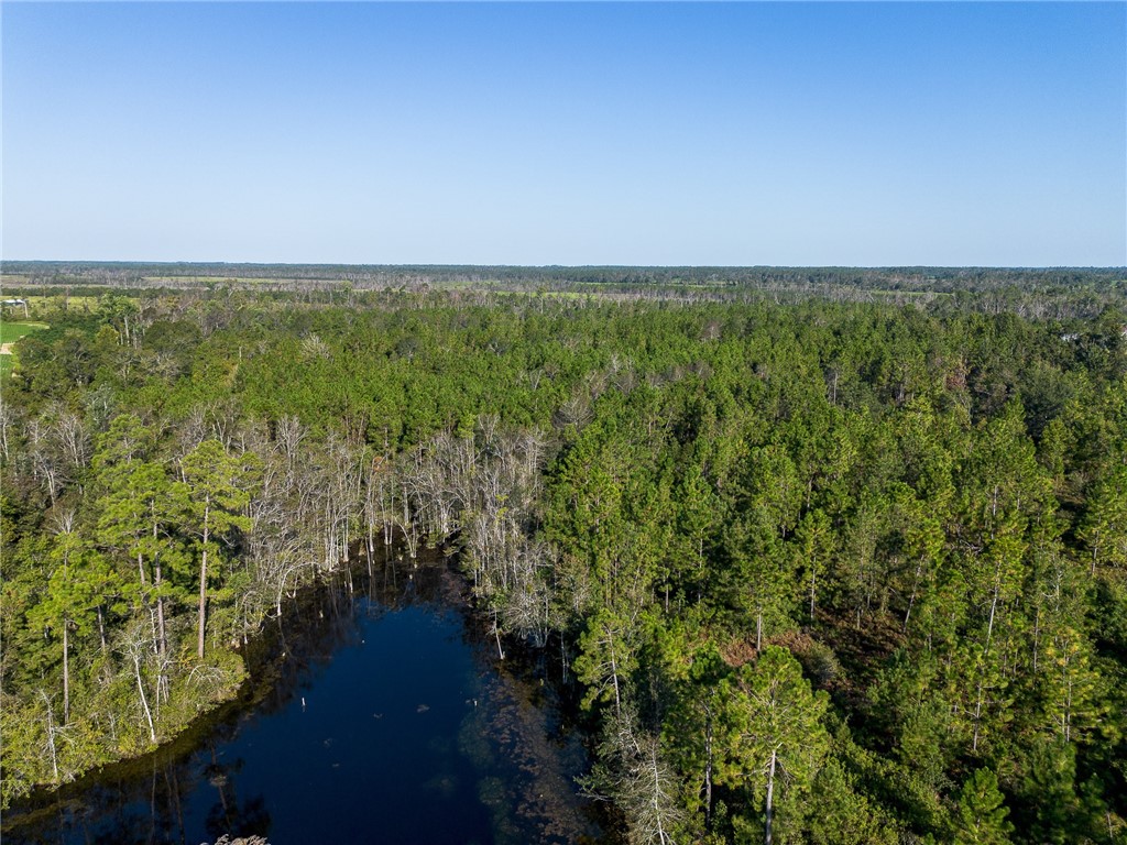 1 Rhonda Coleman Road Hazlehurst, GA 31539 - Photo 13 of 18