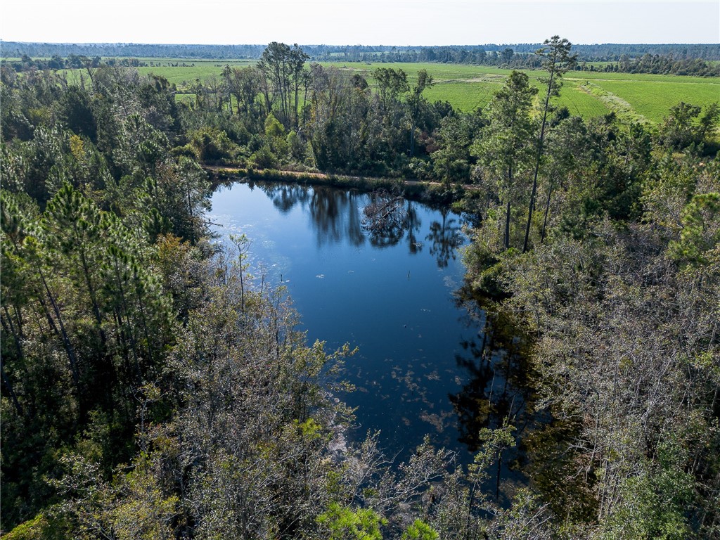 1 Rhonda Coleman Road Hazlehurst, GA 31539 - Photo 15 of 18