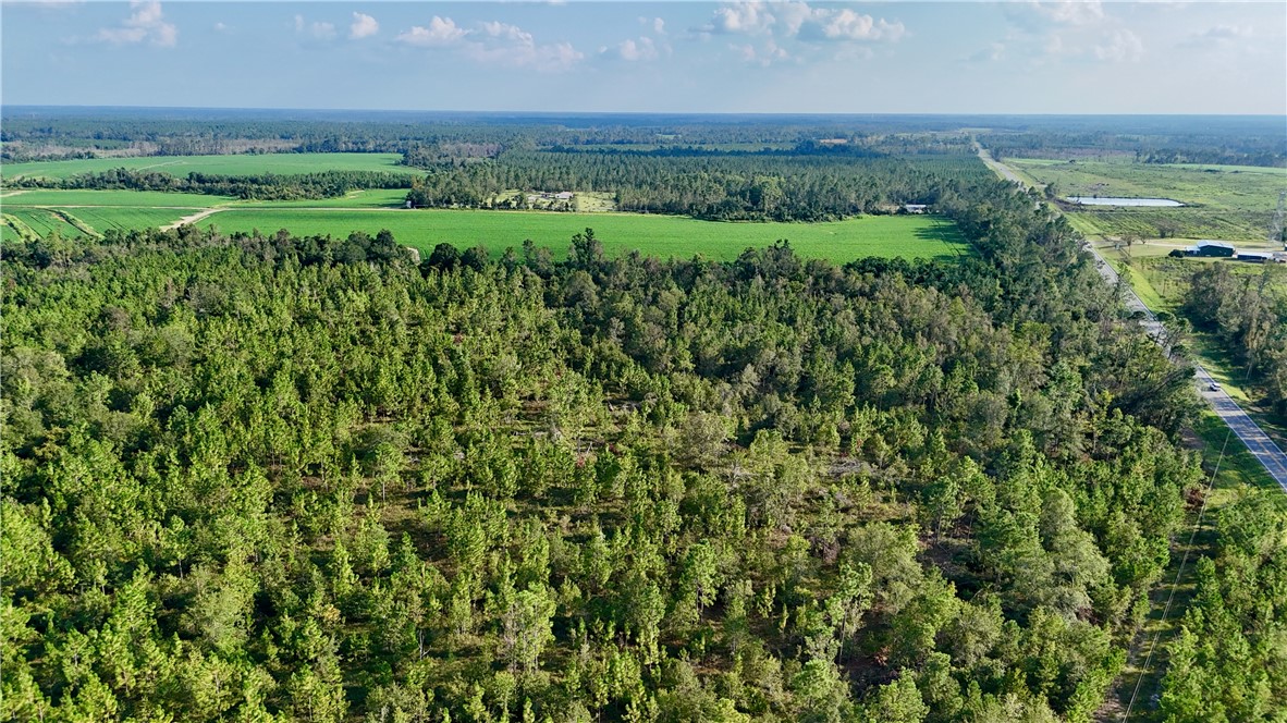 1 Rhonda Coleman Road Hazlehurst, GA 31539 - Photo 18 of 18