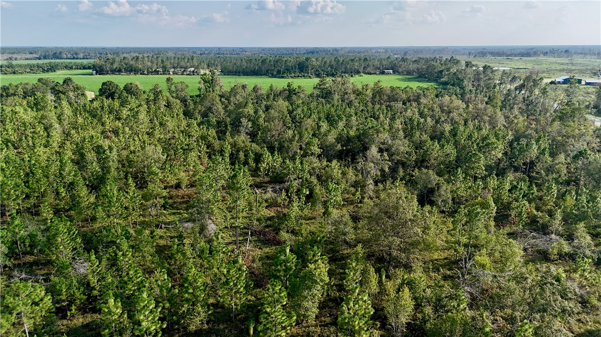 1 Rhonda Coleman Road Hazlehurst, GA 31539 - Photo 3 of 18