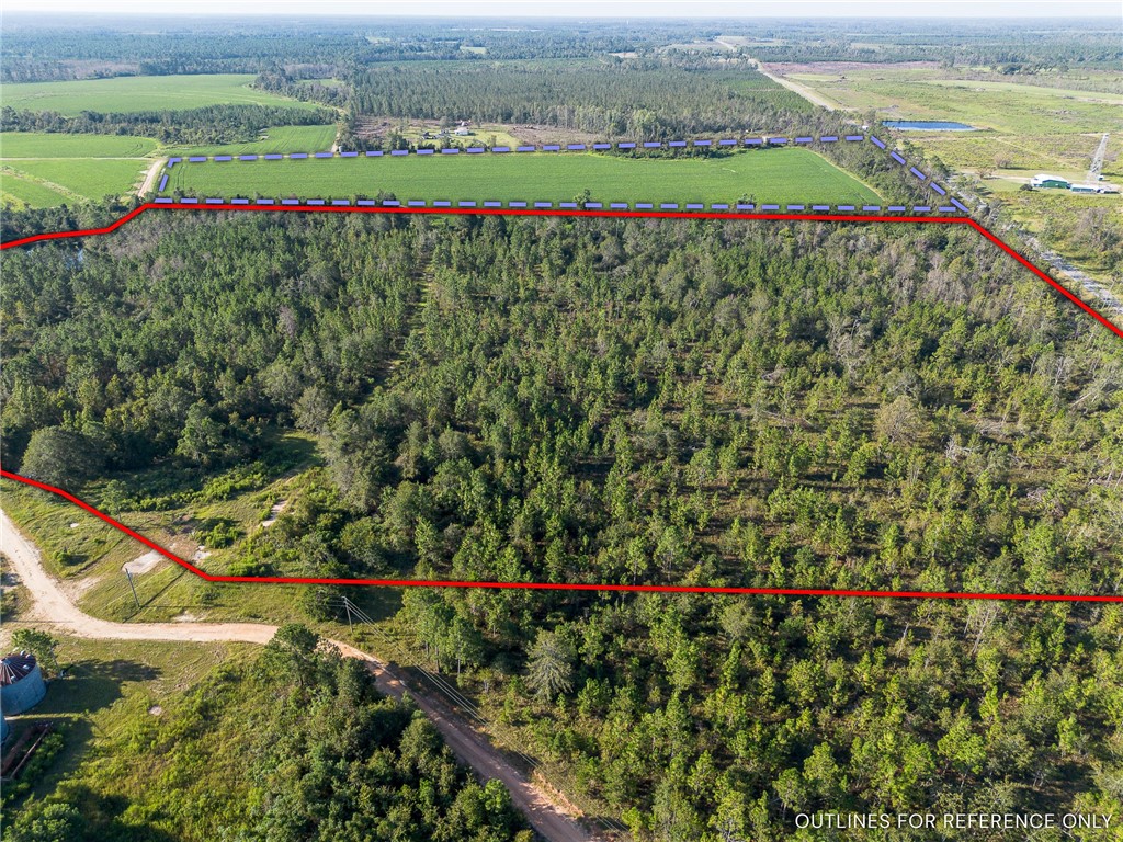 1 Rhonda Coleman Road Hazlehurst, GA 31539 - Photo 6 of 18