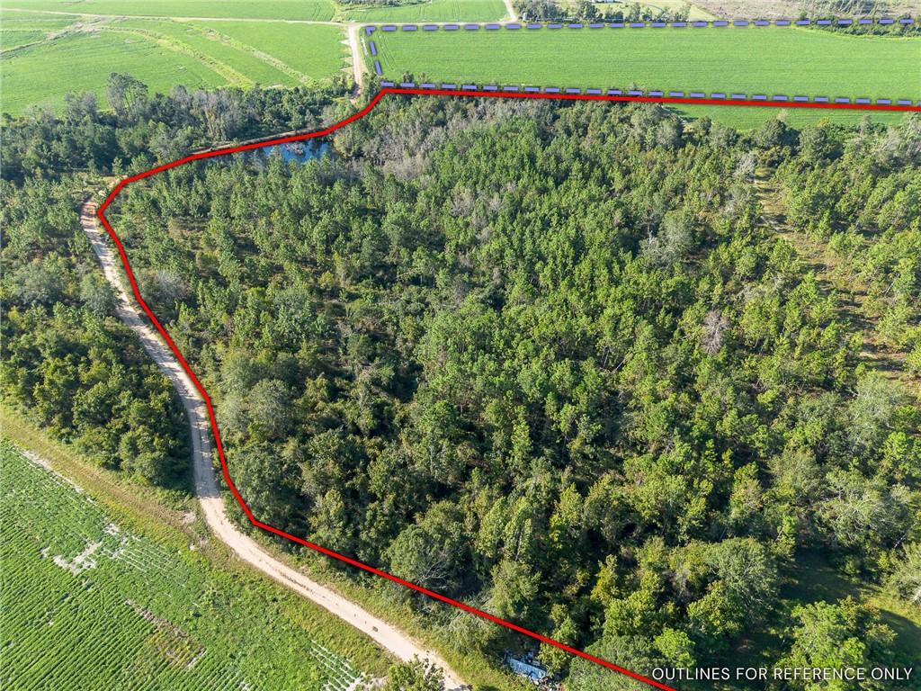 1 Rhonda Coleman Road Hazlehurst, GA 31539 - Photo 8 of 18