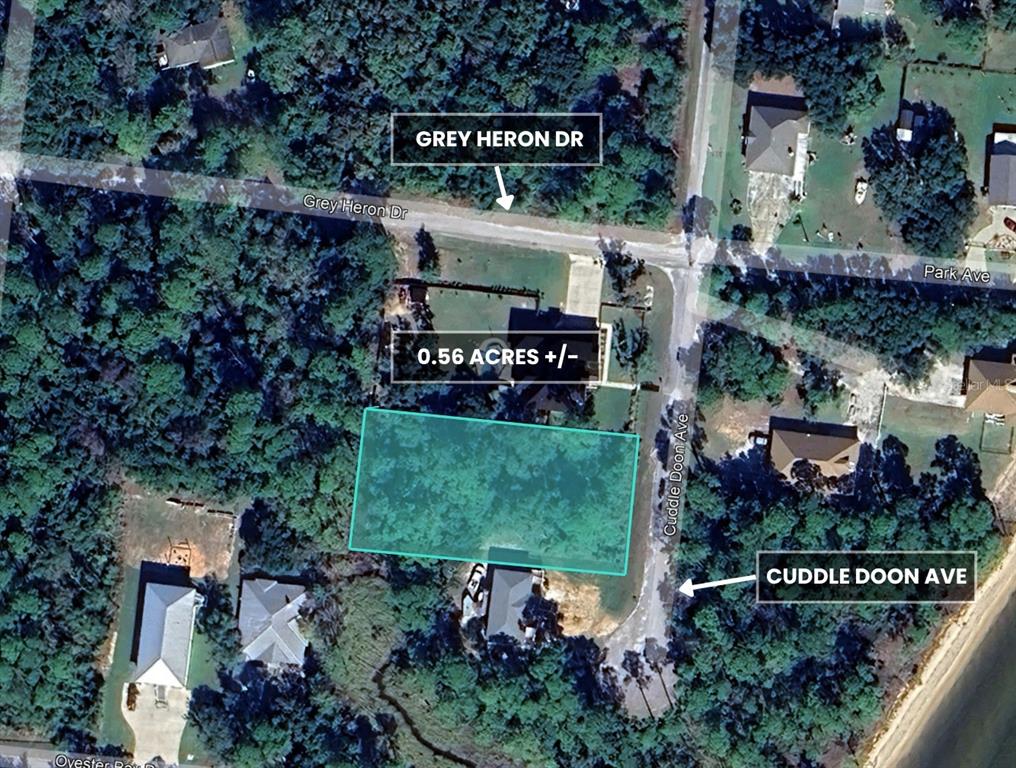 1217 Cuddle Doon Avenue Milton, FL 32583 - Photo 14 of 26