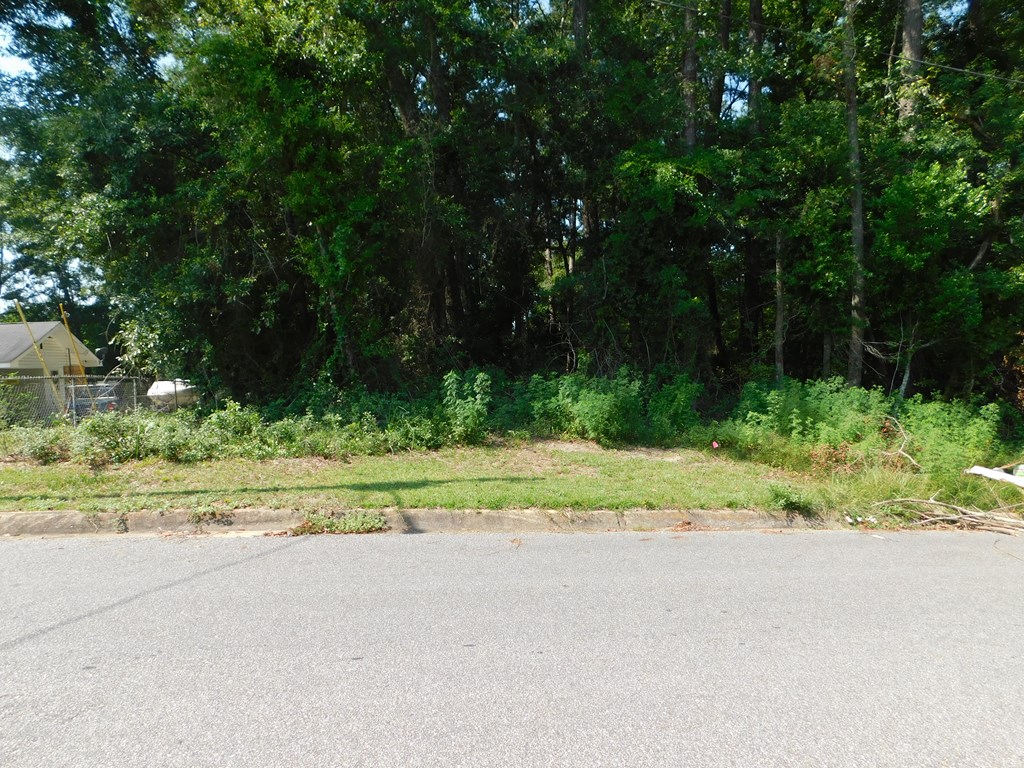 0 Deese Road Ozark, AL 36360 - Photo 2 of 4