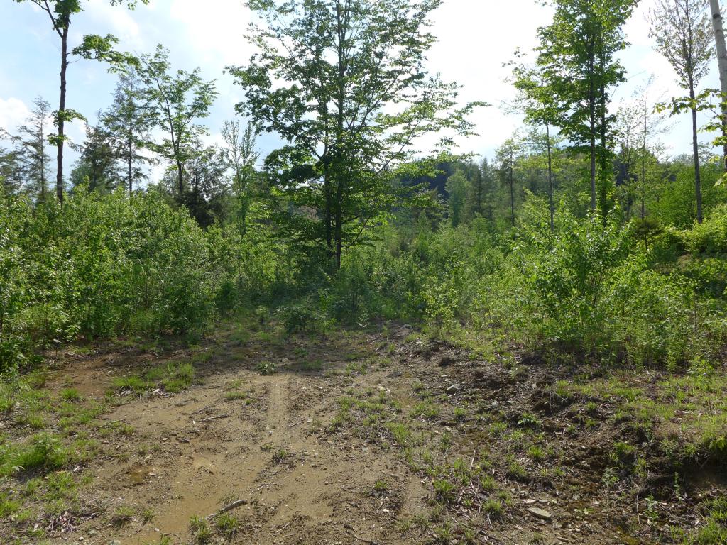 59 Rickaby Road, Unit 1 2 3 Lowell, VT 05847 - Photo 27 of 36