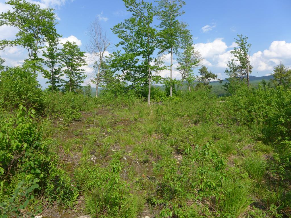 59 Rickaby Road, Unit 1 2 3 Lowell, VT 05847 - Photo 30 of 36