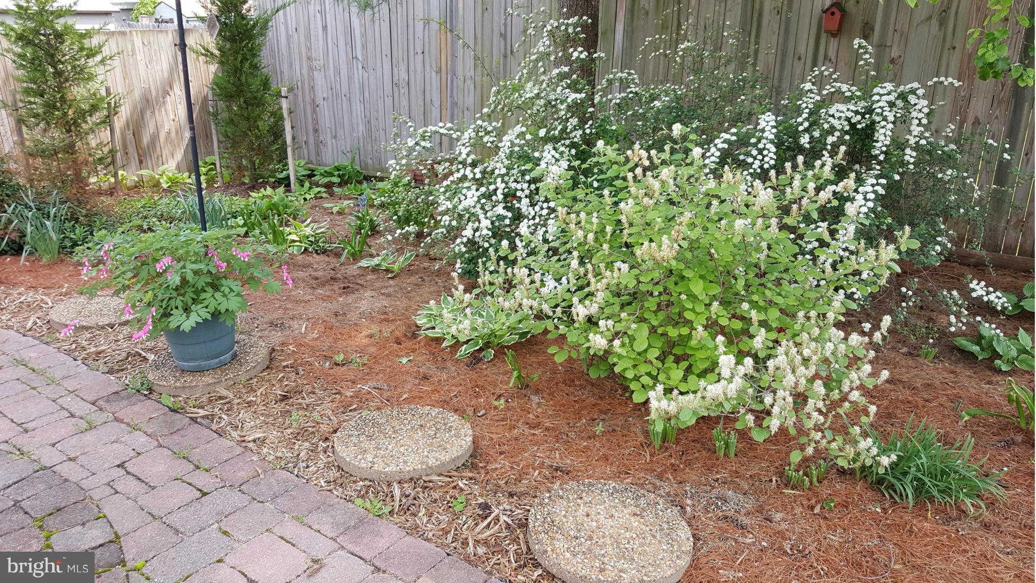 9003 Transoms Road Baltimore, MD 21236 - Photo 22 of 29 a view of a backyard with plants and large trees