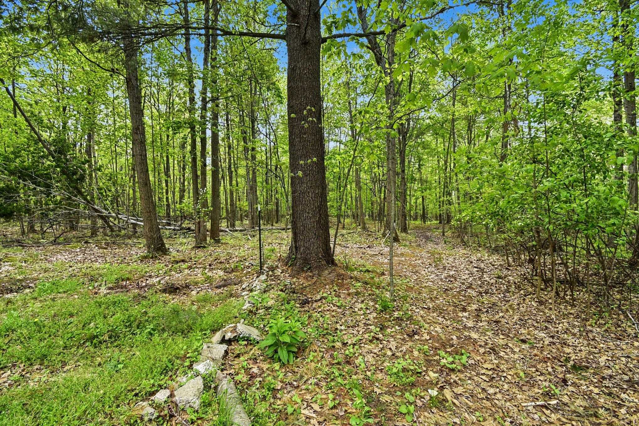 2931 North Carter Road Pinconning, MI 48650 - Photo 19 of 26