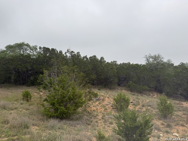 103 Buttermilk Lane Spring Branch, TX 78070 - Photo 3 of 4