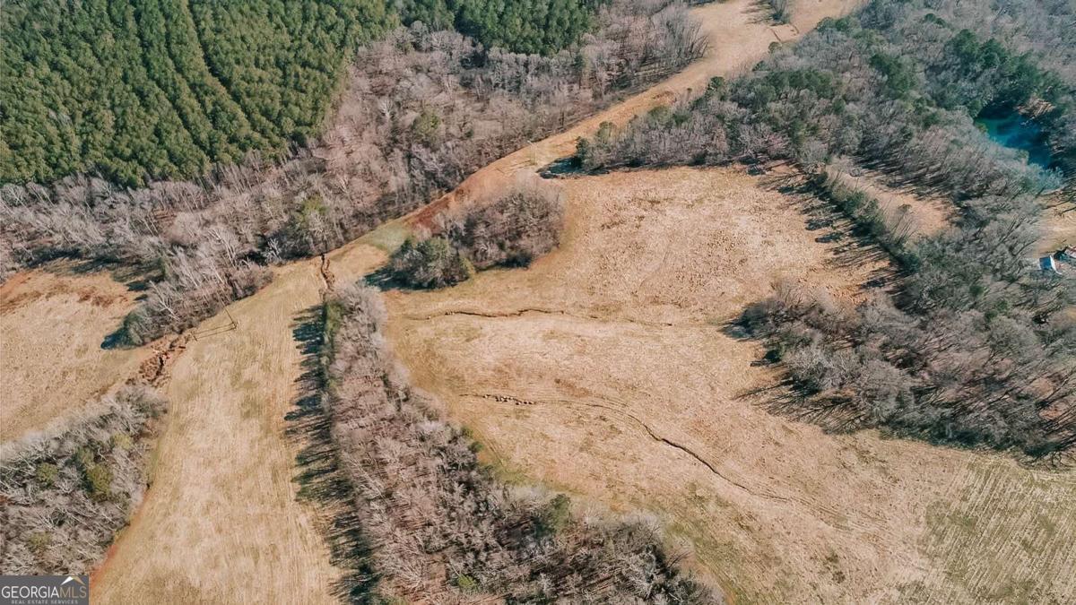 0 Lovers Lane Stephens, GA 30667 - Photo 14 of 20 a view of a yard with trees