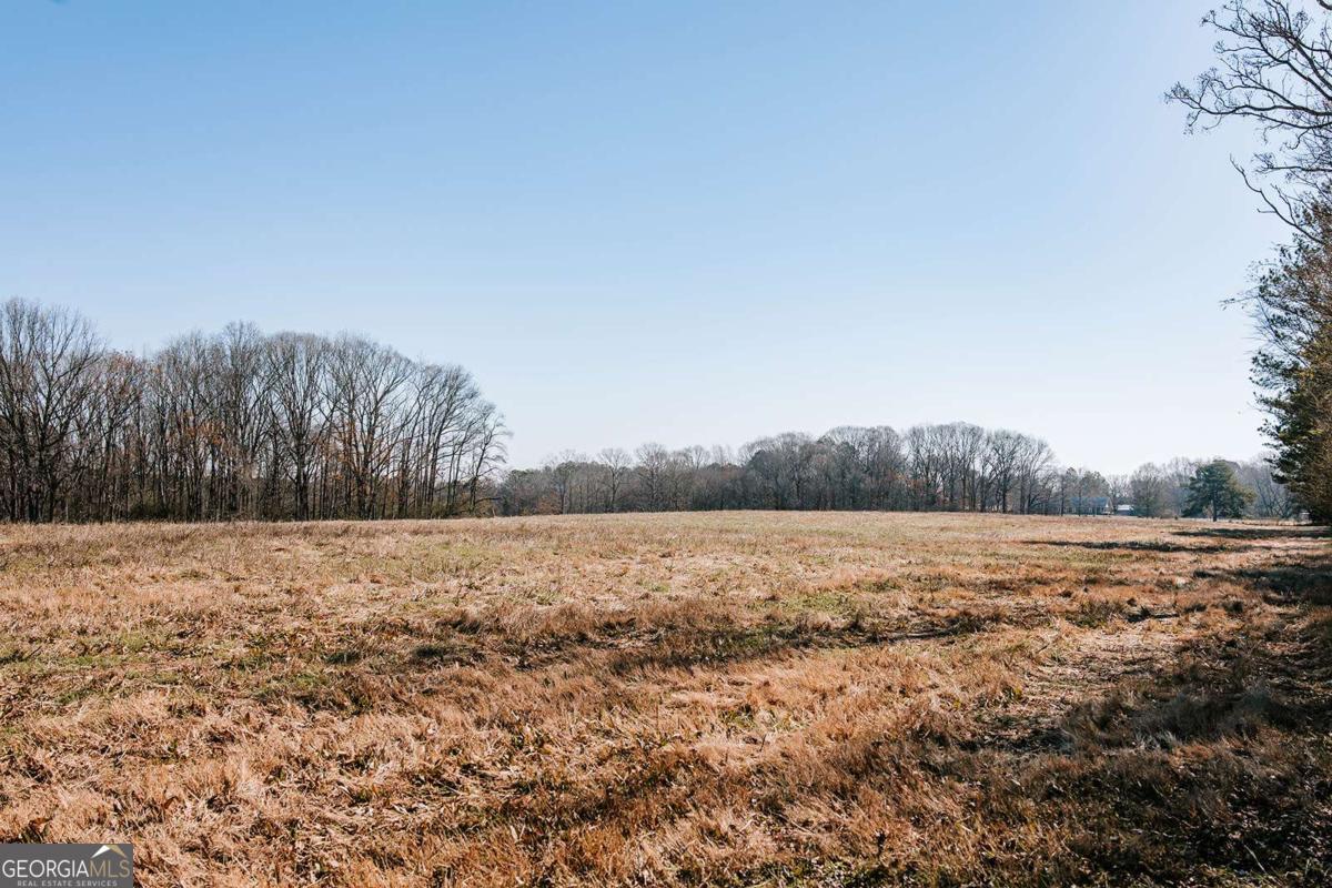 0 Lovers Lane Stephens, GA 30667 - Photo 4 of 20 a view of an ocean and beach