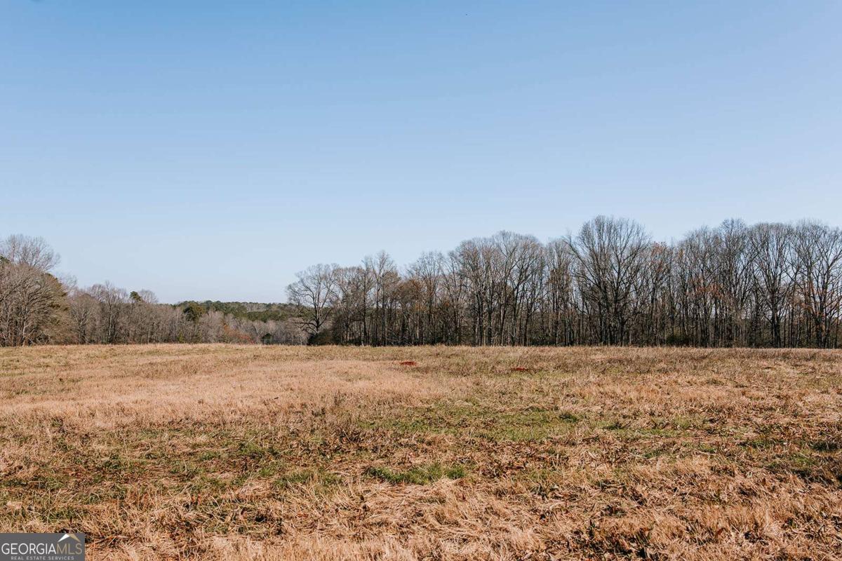 0 Lovers Lane Stephens, GA 30667 - Photo 5 of 20 a view of a field with trees in the background