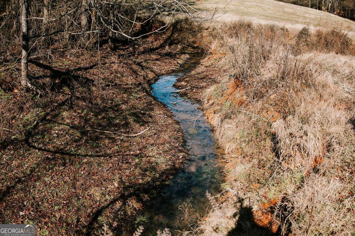 0 Lovers Lane Stephens, GA 30667 - Photo 6 of 20 a picture of tree