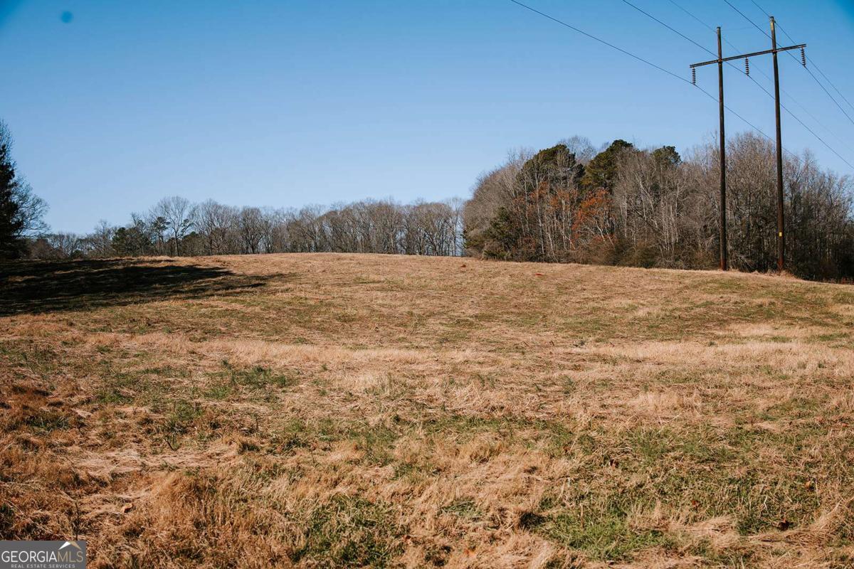 0 Lovers Lane Stephens, GA 30667 - Photo 7 of 20 a view of a yard