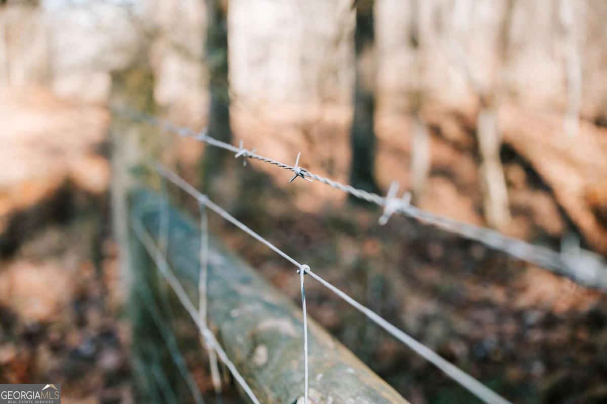0 Lovers Lane Stephens, GA 30667 - Photo 8 of 20 a close up of a street