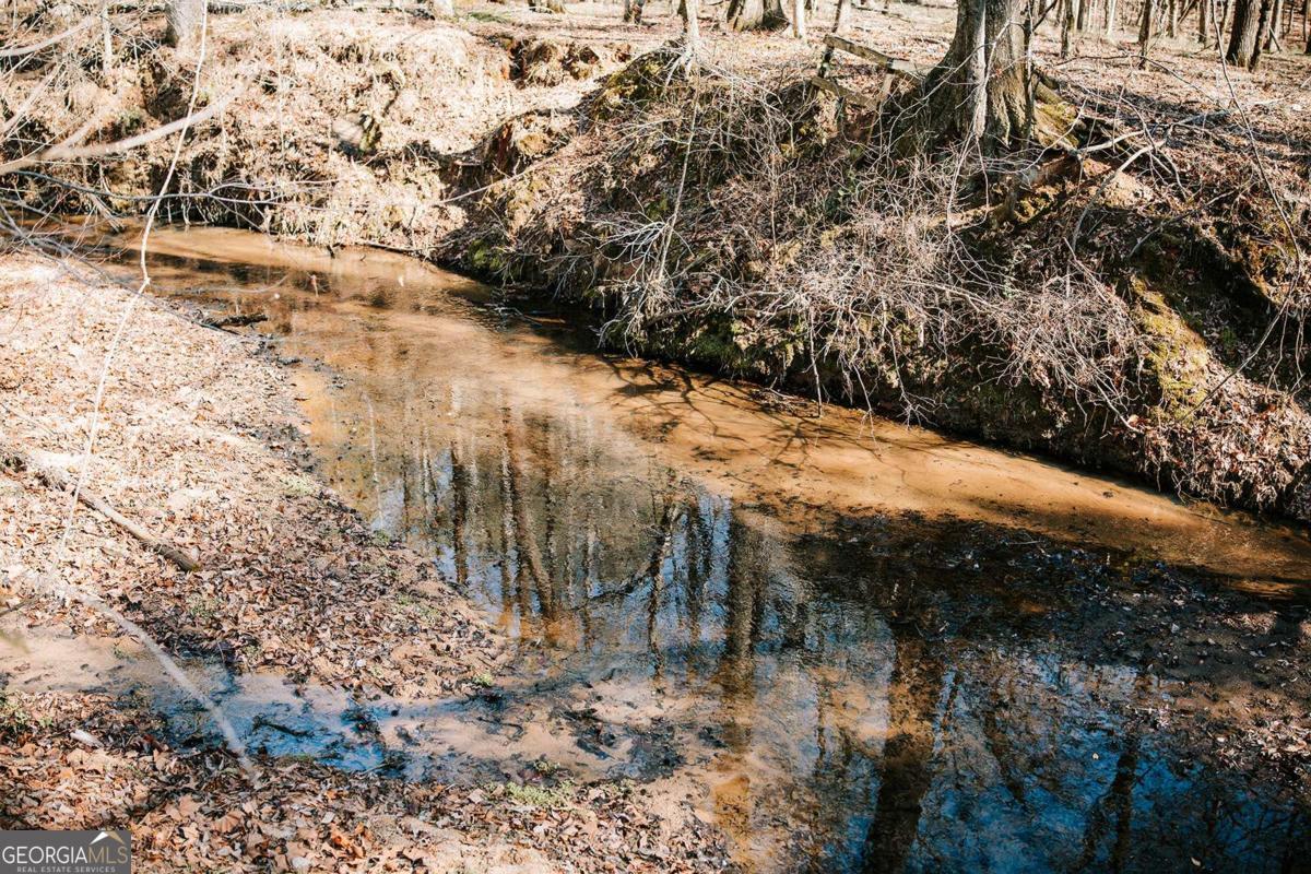 0 Lovers Lane Stephens, GA 30667 - Photo 10 of 20 a view of a yard with a tree