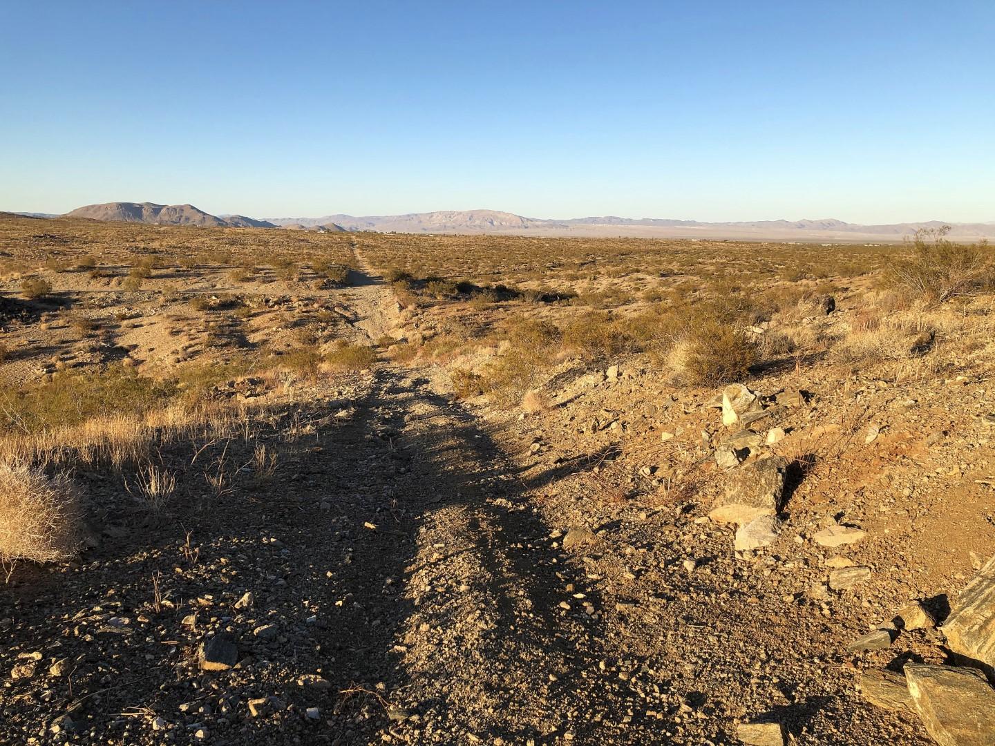 0 Mason Dixon Road Joshua Tree, CA 92252 - Photo 16 of 22 IMG_0688 (Large)
