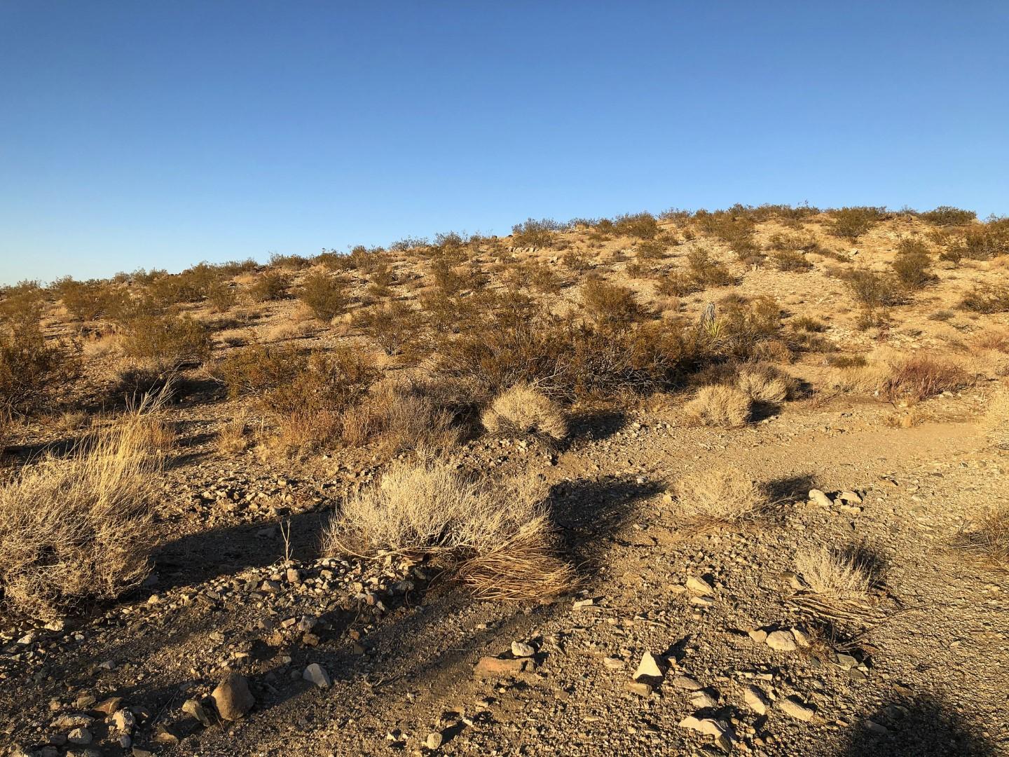 0 Mason Dixon Road Joshua Tree, CA 92252 - Photo 19 of 22 IMG_0678 (Large)