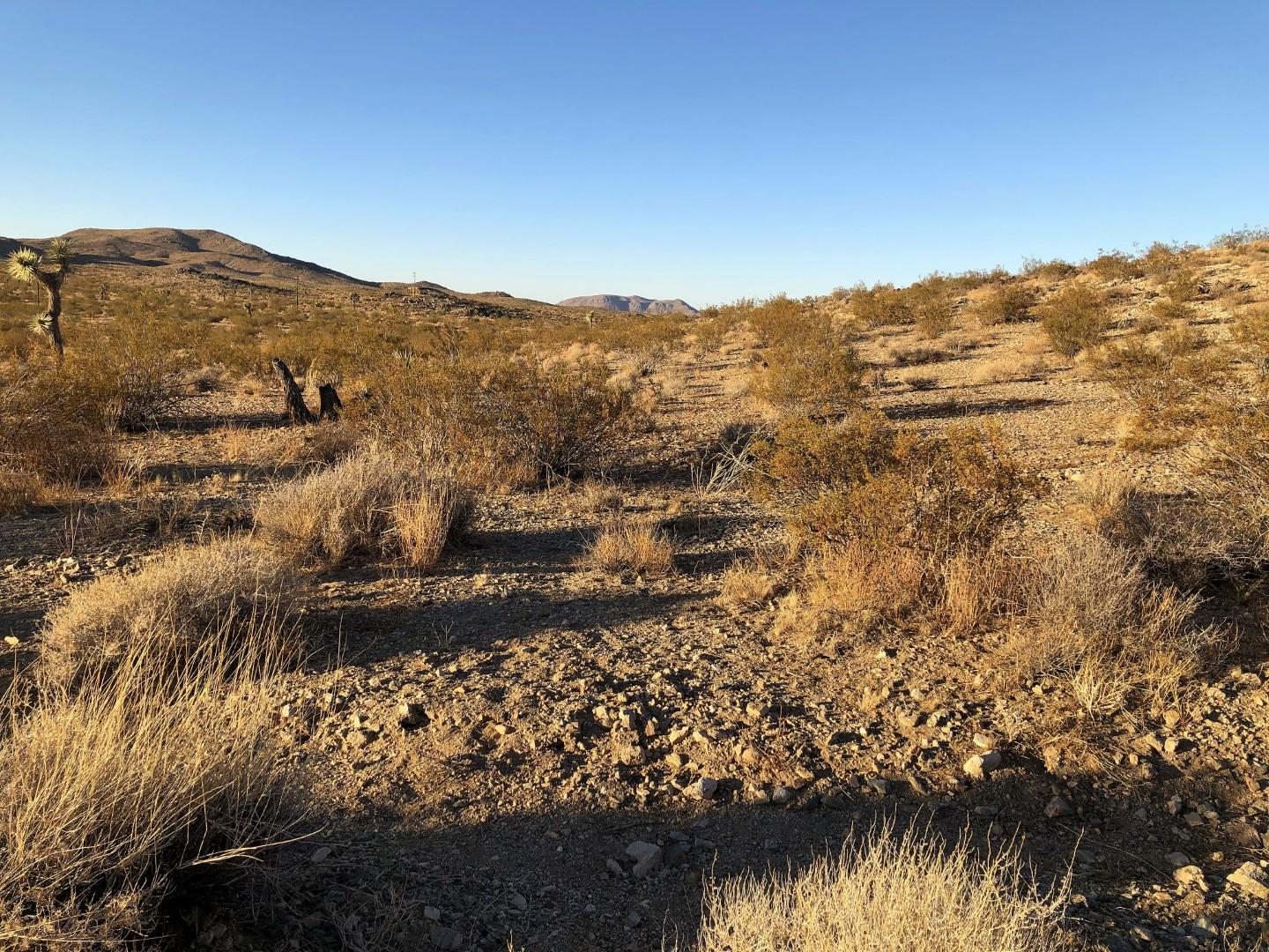 0 Mason Dixon Road Joshua Tree, CA 92252 - Photo 21 of 22 IMG_0679 (Large)
