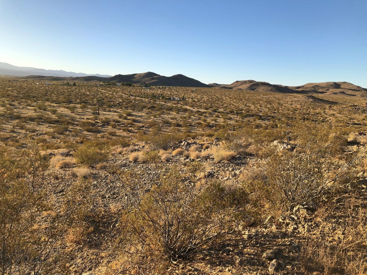 0 Mason Dixon Road Joshua Tree, CA 92252 - Photo 22 of 22 IMG_0680 (Large)