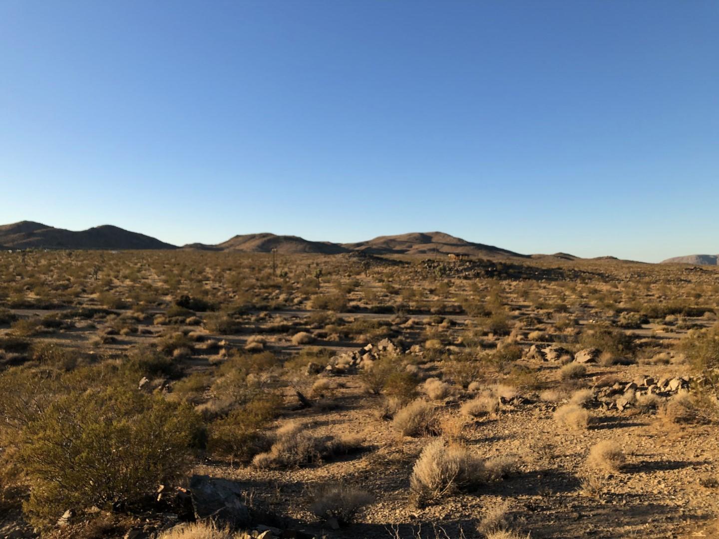 0 Mason Dixon Road Joshua Tree, CA 92252 - Photo 5 of 22 IMG_0693 (Large)